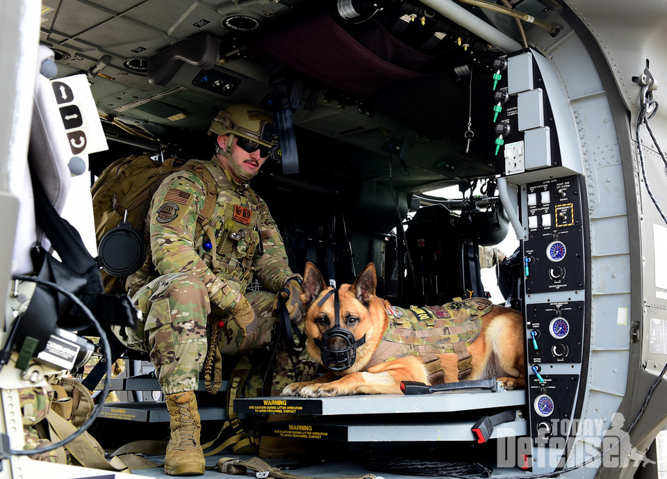 제 8경비대대 군견 핸들러인 오스틴 웨스트 선임공군과 MWD 보너스가 2021년 4월 13일 군산 공군기지에서 열린 합동 미디어팩 훈련 행사 중 미 육군 HH-60M 블랙호크 헬기 안에 앉아 익숙화 훈련을 하고 있다. 조종사들은 소음과 진동에 익숙해지도록 MWD를 헬리콥터에 점차적으로 노출시켜 비행 중 걱정을 줄였다.(사진: U.S.Air Force)